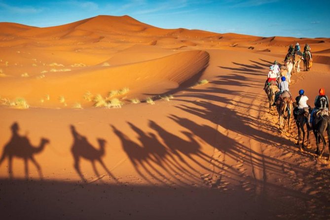 Dubai Morning Safari: Red Dunes, Sandboarding, Camel Ride & Brunch at Al Khayma - Red Dunes Adventure