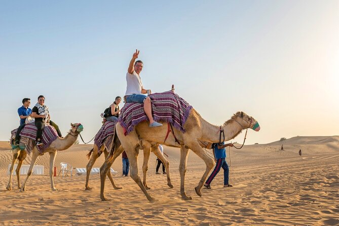 Dubai: Premium Safari, Camel Ride, Bedouin Camp With BBQ Dinner - Inclusions