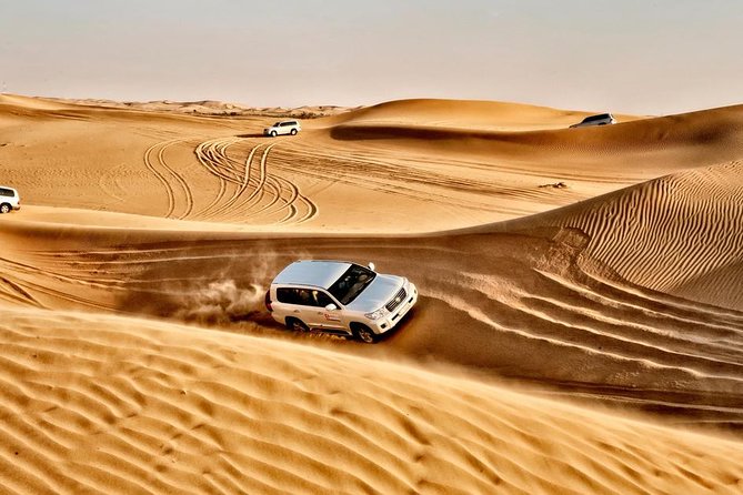 Dubai Private Desert Safari With 4WD Bash, BBQ and Live Shows - Tour Inclusions