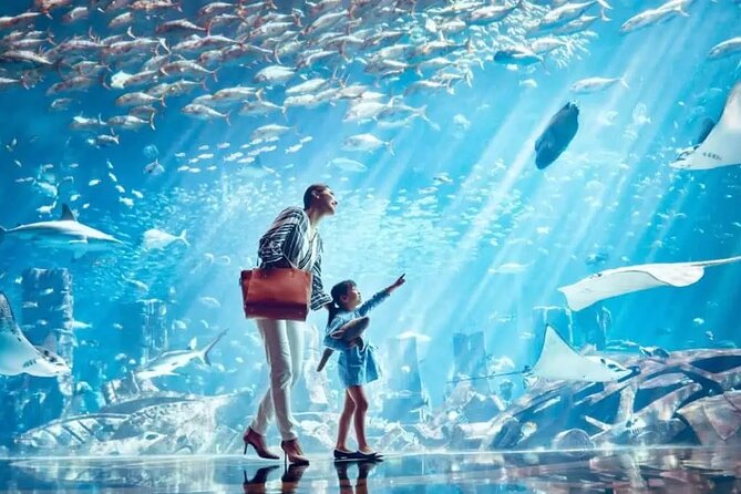 Dubai The Lost Chambers Aquarium Entrance Ticket - Non-refundable Policy Overview