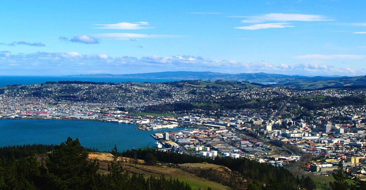 Dunedin Self-Guided Audio Tour - Experience Highlights and Tour Format