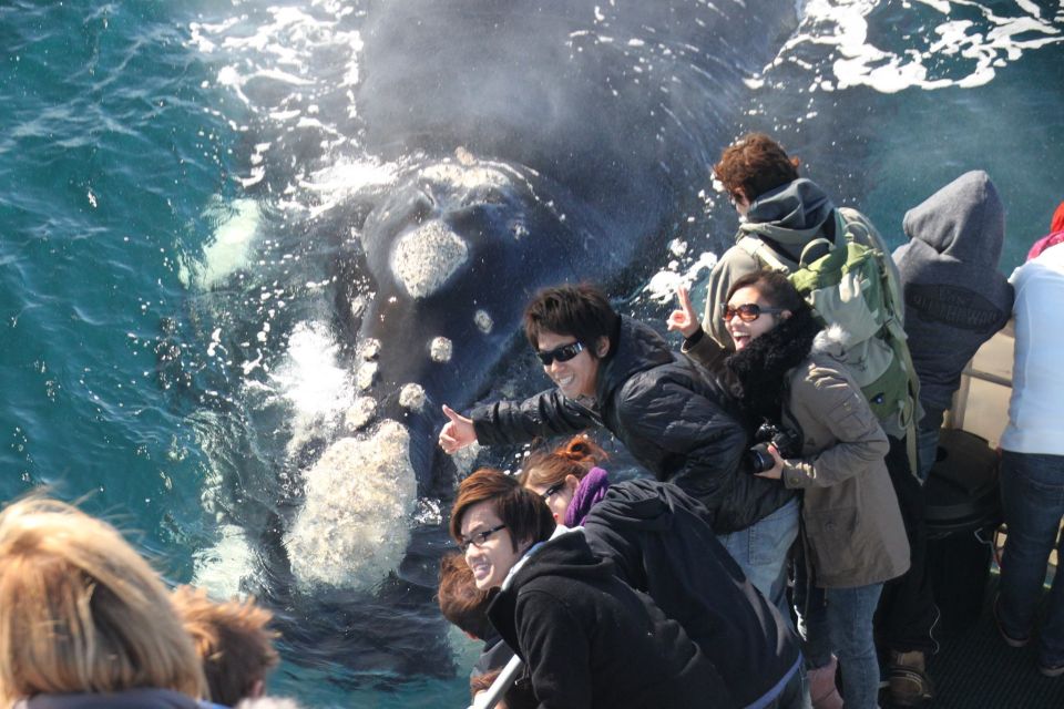 Dunsborough: Whale Watching Tour - Booking Information