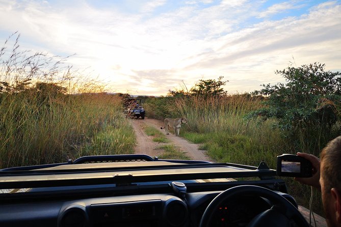 Durban: Go on Safari at 2 Game Reserves (Hluhluwe-Imfolozi) Pro Zeiss Binoculars - Game Drives in Open-Top Vehicles