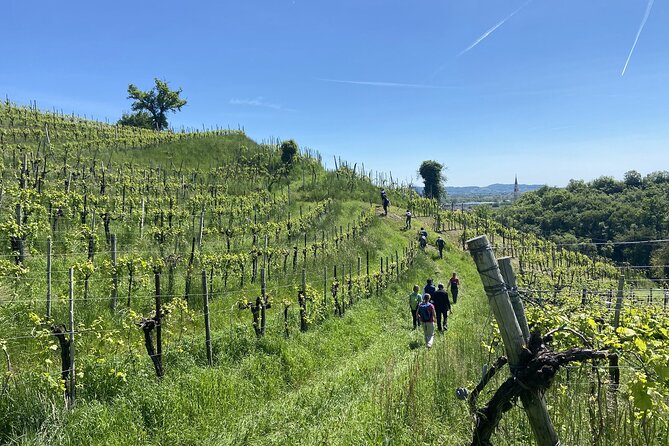 E-Bike Tour in Valdobbiadene With Wine Tasting and Typical Food - Reviews and Ratings