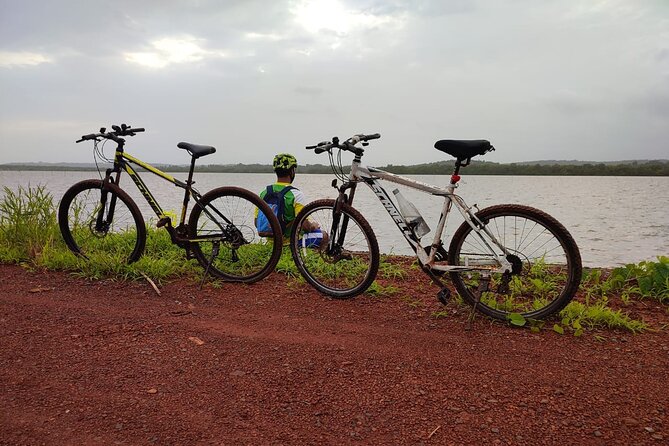 Ebike Tour of Chorao Island With Cycling Zens - Tour Inclusions