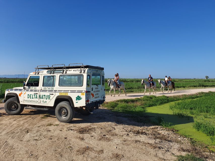 Ebro Delta National Park: Guided Horseback Riding Tour - Tour Type and Duration