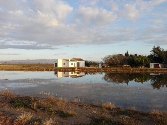 Ebro Delta: Northern Delta Guided Tour With a Local - Inclusions