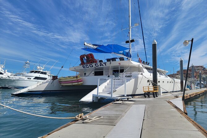 EcoCat Snorkel Catamaran Cruise in Cabo - Traveler Assistance