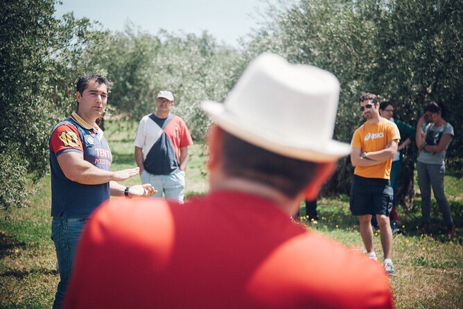 Ecological Olive Grove Tour With EVOO Tasting - Pricing and Offers