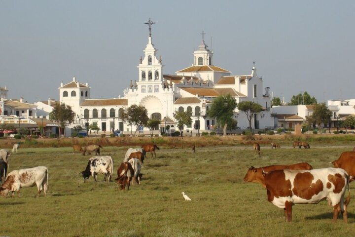 El Rocío: Doñana National Park 4x4 Jeep Tour - Duration and Rating