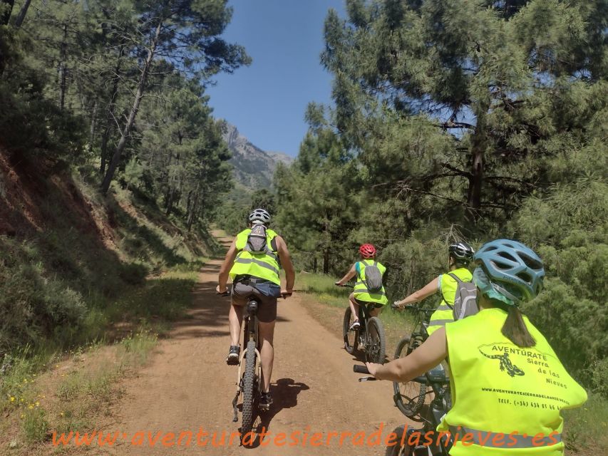 Electric Mountain Bike in Sierra De Las Nieves National Park - Full Experience Description