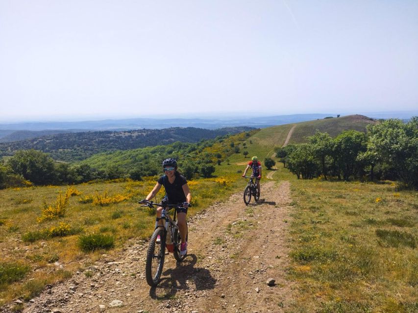 Electric Mountain Bike Wine Day: Ride and Wine Tasting - Experience Highlights