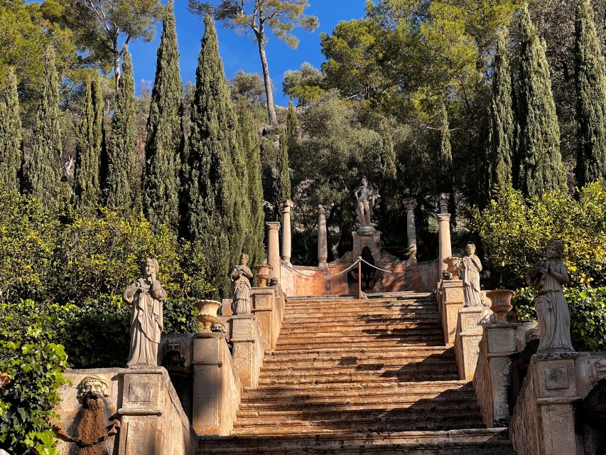 Embrace the Enchantment of Mallorca's Almond Blossom Season - Cultural Exploration Through Almond Blossoms