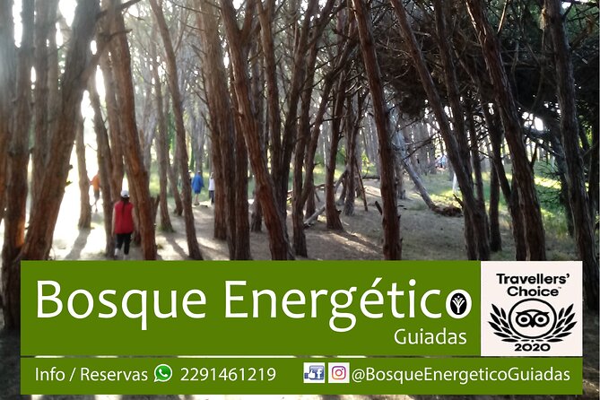 Energetic Forest: Guided Tour - Safety Guidelines