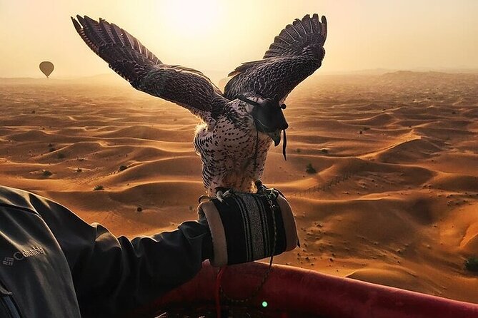 Enjoy Dubai Beautiful Desert by Balloon & Falcon Show - Meeting and Pickup Details