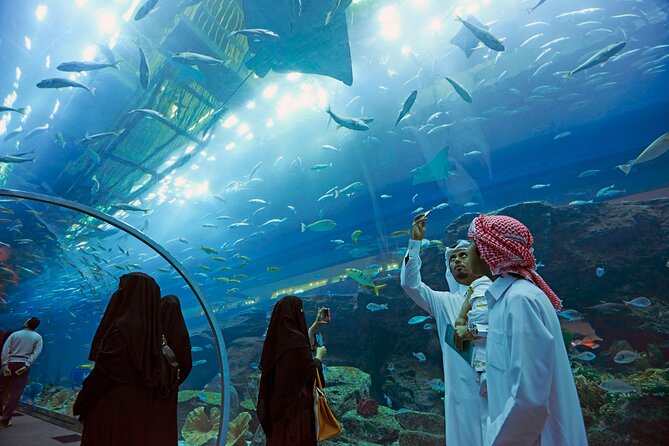 Entrance to Dubai Aquarium and Underwater Zoo - Experience Highlights