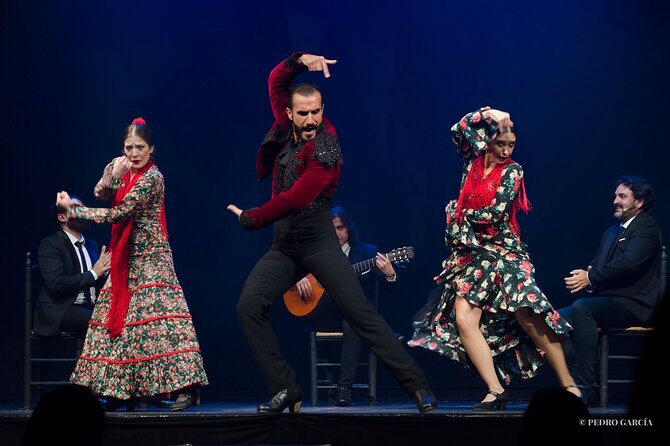 Entrance to the Flamenco Show at Teatro Flamenco Málaga - Review Verification Process