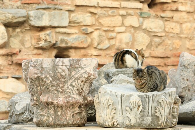 Ephesus Daily Trip From/To Kusadasi, Istanbul & Bodrum - Meeting and Pickup Details
