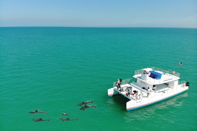 Epic Sandbar Safari With Dolphin Playground Encounter In Key West - Staff and Service Feedback