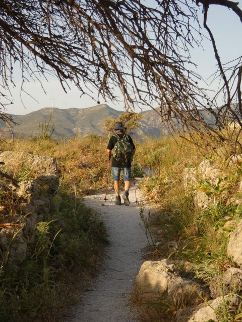 Escorted Sun Rise Hiking Tours - Experience