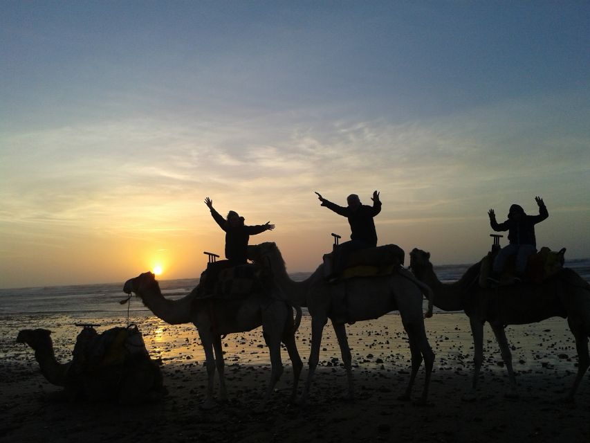 Essaouira: One Hour Dromedary Ride - Booking Information