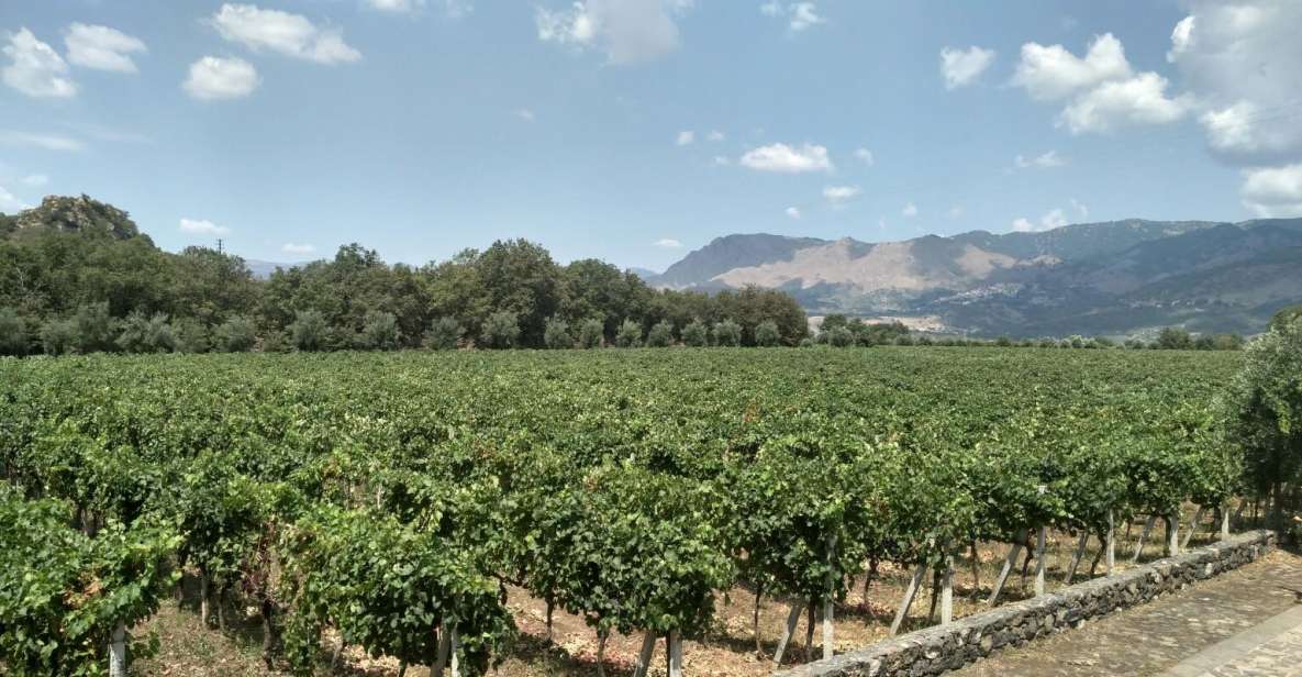 Etna: Wine Tasting and Food Tour - Experience Description