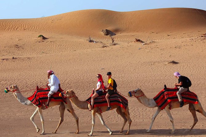 Evening Camel Tekking Dubai With Dinner - Itinerary Overview