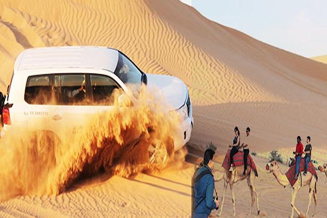 Evening Desert Safari Dubai With BBQ Dinner (Pick up by Bus) - Customer Experience