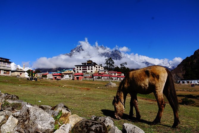 Everest Base Camp Trek - Booking and Confirmation Process