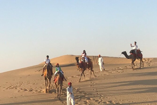 Exclusive Dinner & Camel Safari in Thar Desert (Private Tour) - Customer Reviews