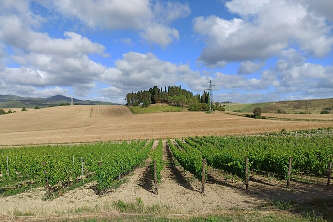 EXCLUSIVE Wine Tour in Chianti & San Gimignano (Lunch & Wine Tasting Included) - Customer Reviews