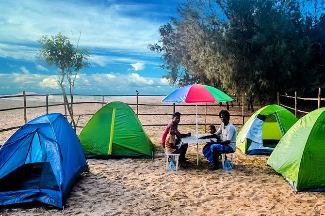 Experience Beach Camping - Exploring Local Casuarina Forest