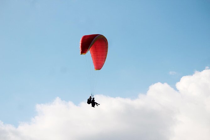 Experience Paragliding at a 1000-Meter Height in Nha Trang - Viator Customer Support Details