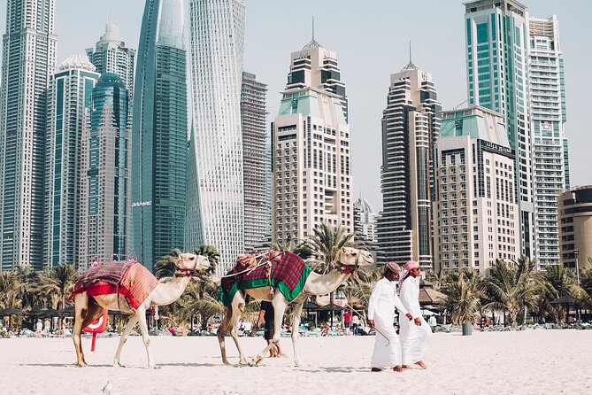 Explore Dubai Full Day Private City Tour - Itinerary Details