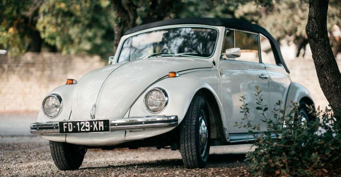 Explore Provence in a Beetle! - Fleet Selection for Exploration