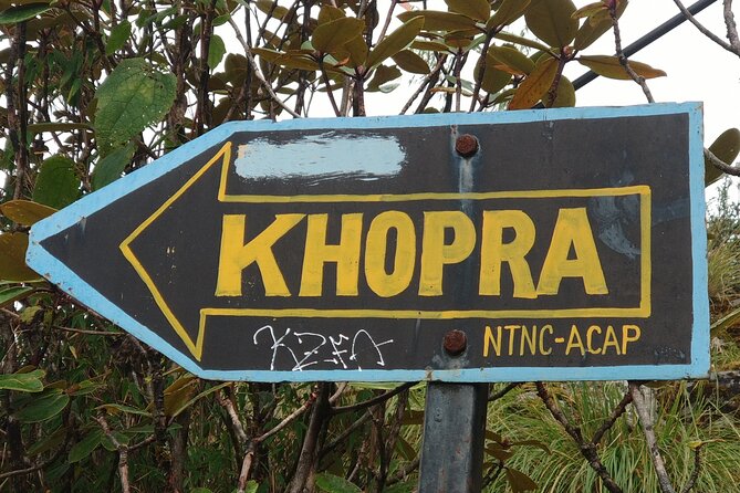 Explore the Khopra Ridge: A Stunning Trek Experience Amidst the Himalayan Beauty - Scenic Views of the Himalayas