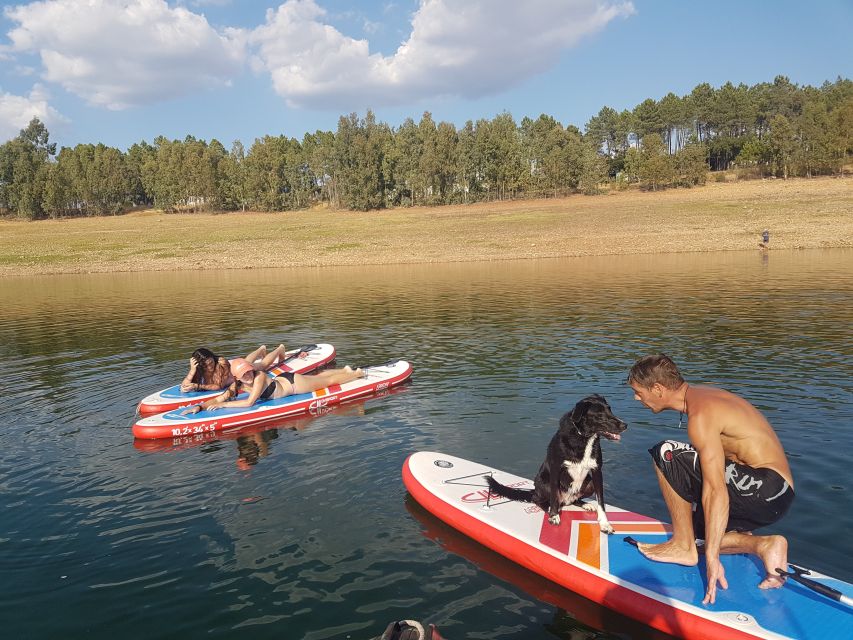 Extremadura: Paddle Surf Guided Tour on Valdecañas Reservoir - Activity Highlights