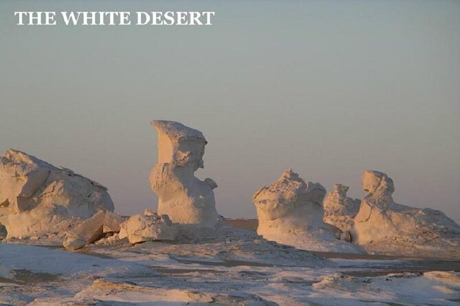 Fantastic Overnight White Desert and Baharya Oasis - Desert Adventure Activities