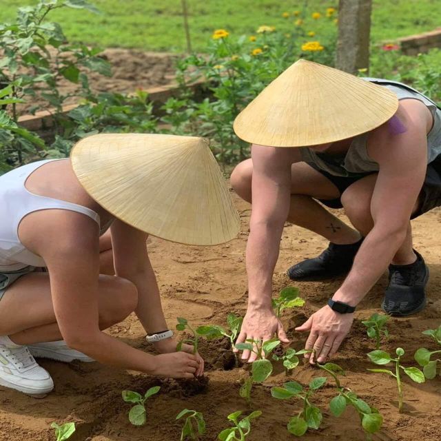 Farming - Local Market - Cooking Class In Tra Que Vegetable - Highlights