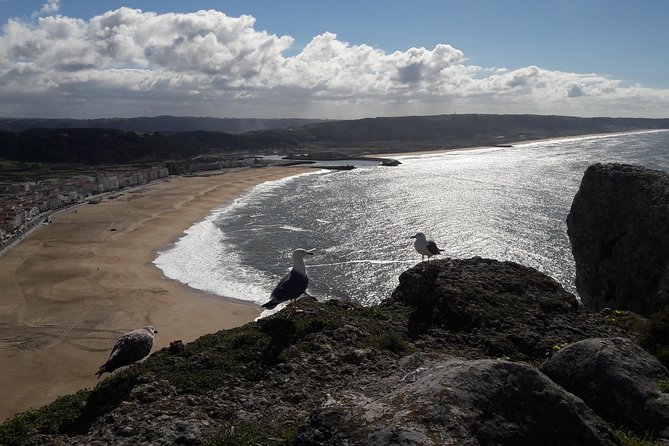 Fátima, Batalha, Nazaré and Óbidos Day Tour - Coastal Beauty Experience