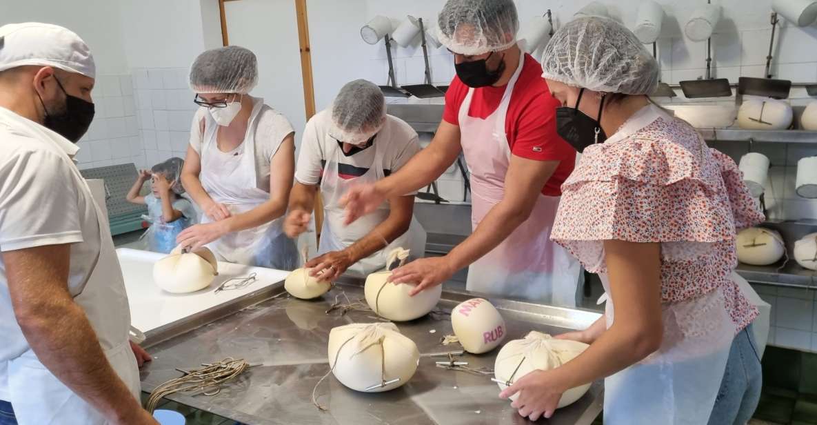 Ferreries: Cheesemaking and Farm-Fresh Product Tasting - Activity: Cheesemaking and Farm-Fresh Product Tasting Workshop