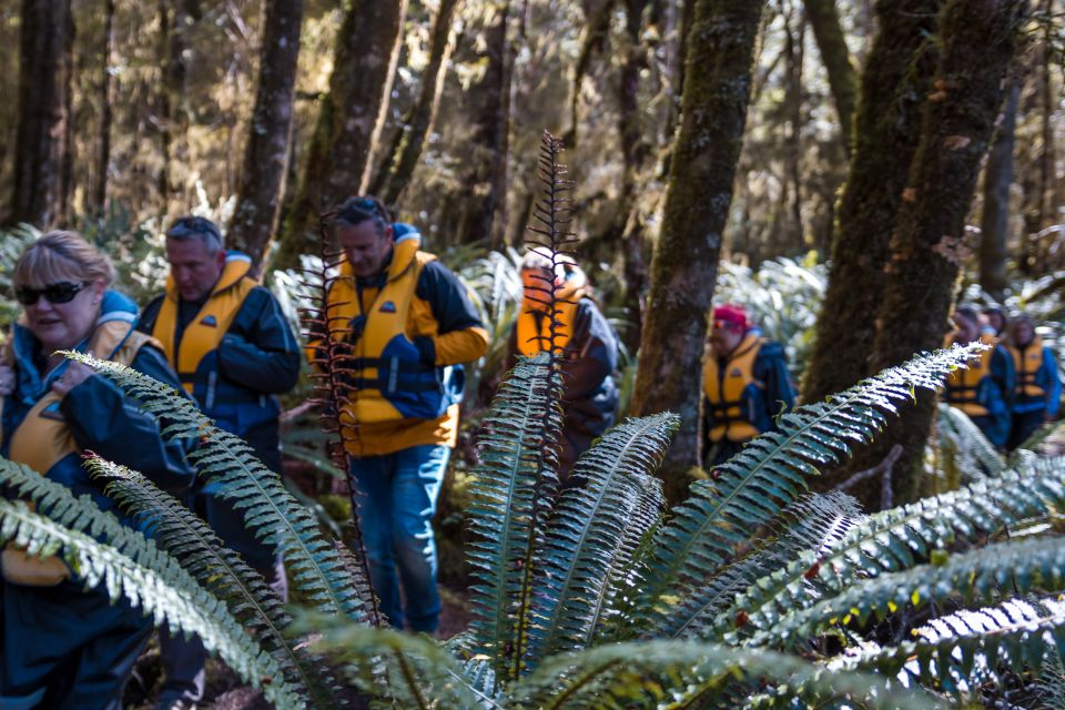 Fiordland: Jet Boat & Nature Walk Experience From Te Anau - Experience Highlights