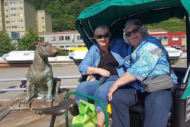 Five-Star Juneau Pedicab Private Tour - Inclusions and Experiences