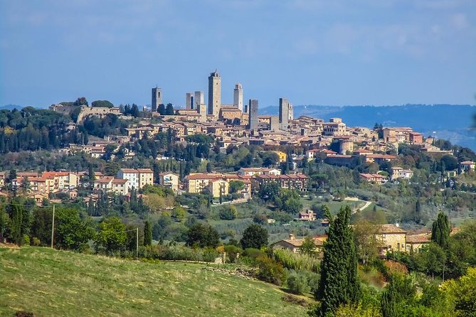 Florence and San Gimignano Private Tour From Livorno - Private Guide and Transportation