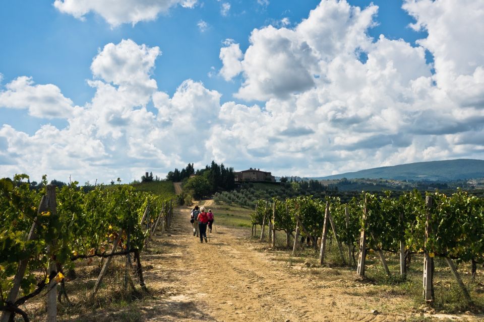 Florence: Private Full Day Tour to Chianti Wine Region - Experience Highlights