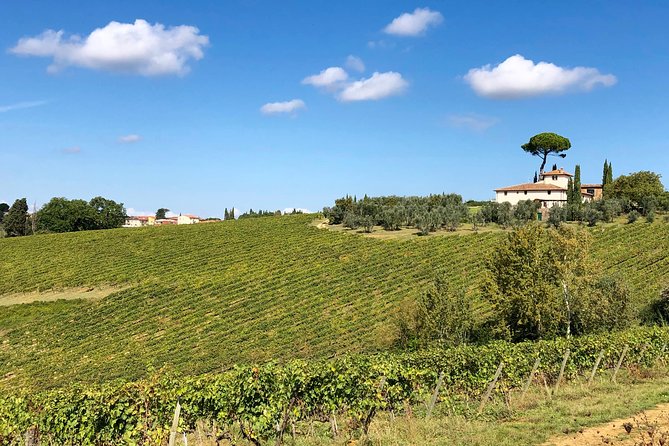 Florence to Tuscany Off-The-Beaten-Path Wine Tour Semi-Private - Wine Tasting Experience