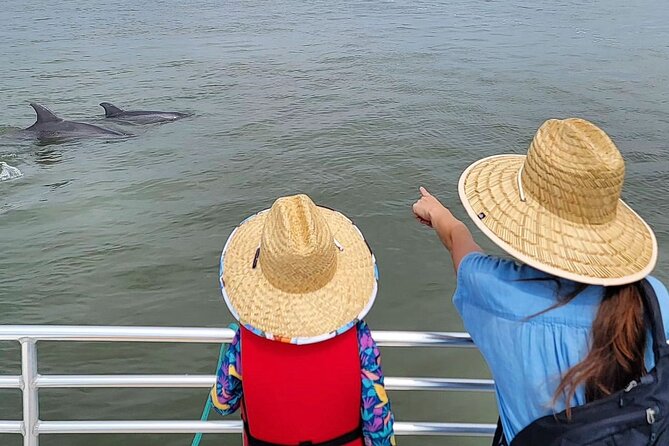 Folly Beach Dolphin Viewing Boat Excursion and Estuary Tour - Traveler Reviews and Experiences