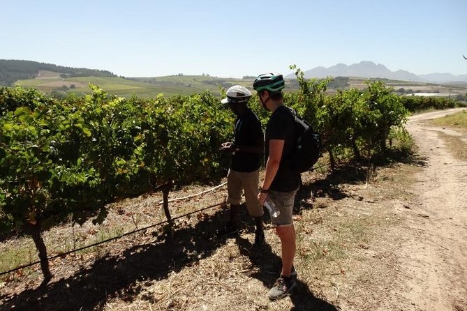 Franschhoek Half Day Winelands Cycle Tour - Itinerary Overview