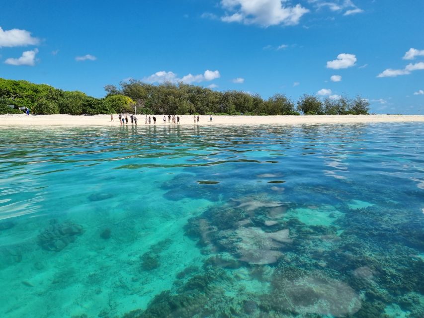 From 1770: Lady Musgrave Island Snorkelling Day Cruise - Booking Information