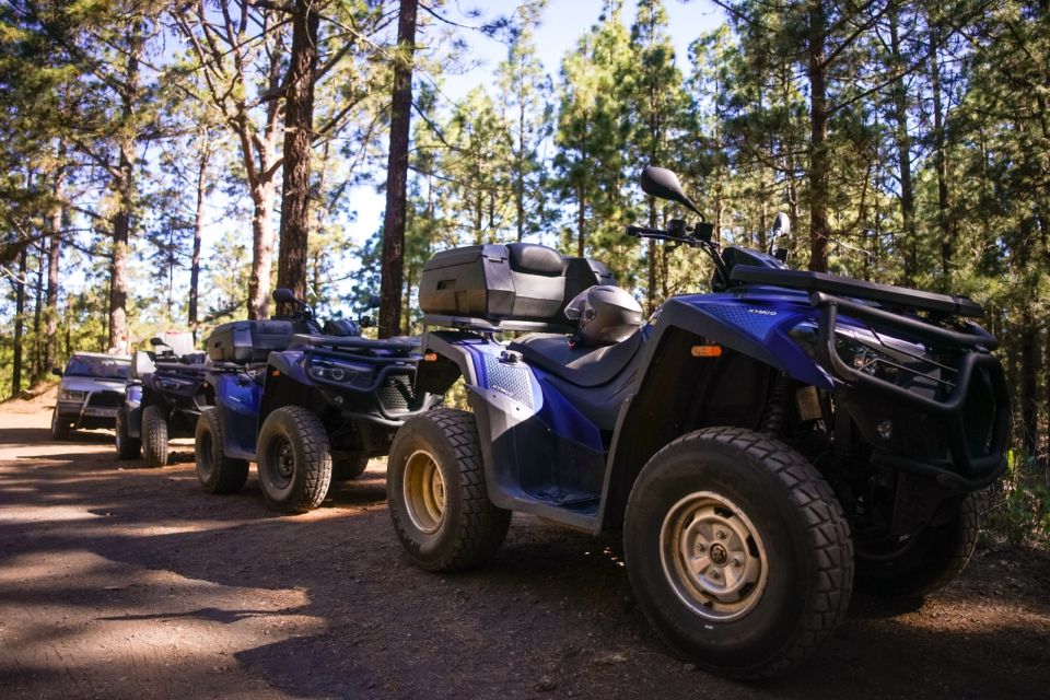 From Adeje: Mount Teide Forest Off-Road Quad Bike Tour - Tour Highlights